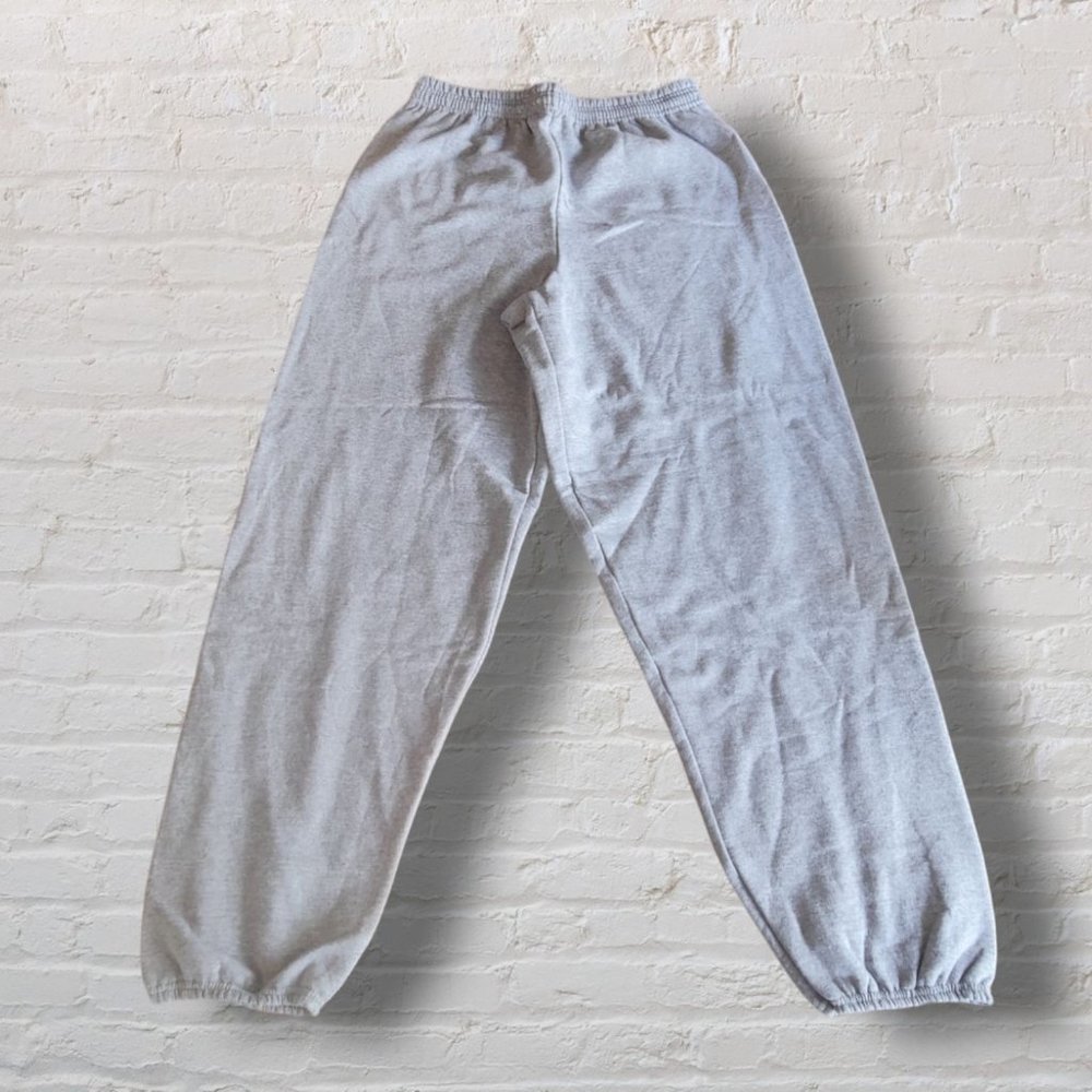 Hanes EcoSmart® Men's Sweatpants Light Steel